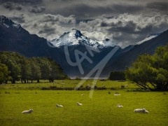 NEW ZEALAND Makarora